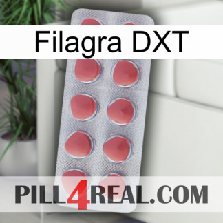 Filagra DXT 18